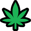 cannabis leaf